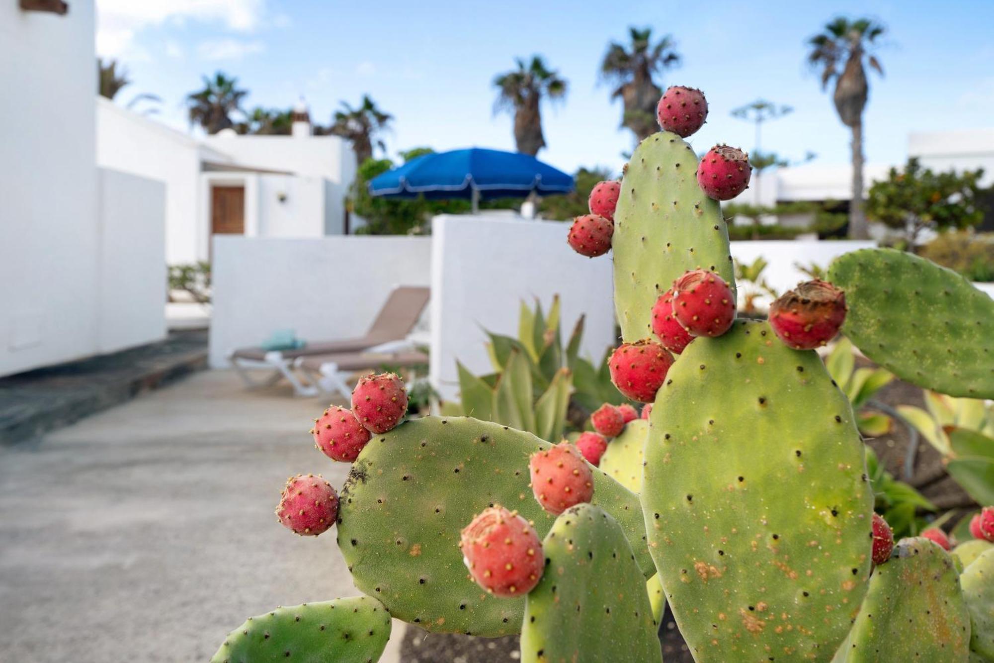 Casa Aloe Villa อาริอา ภายนอก รูปภาพ